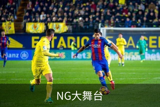 NG大舞台公司简介